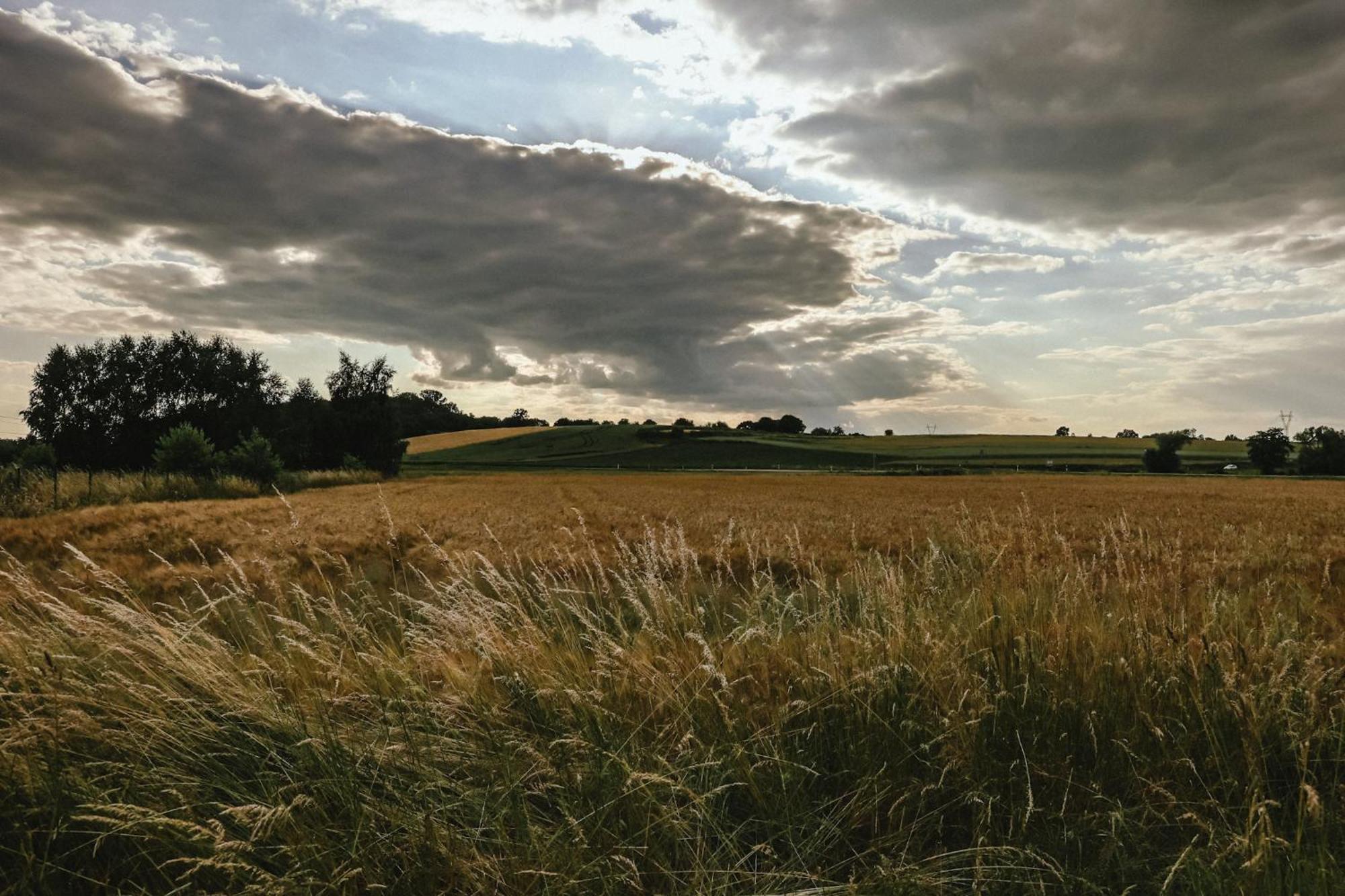 Jej I Jego - Eleganckie Domki Z Balia Na Wylacznosc Niewiesze Exteriér fotografie